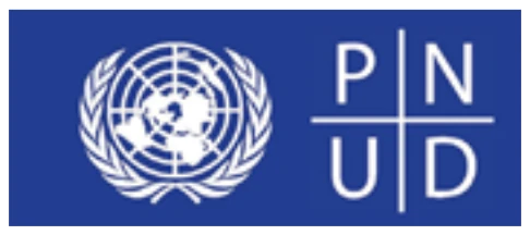 Programa de las Naciones Unidas para el Desarrollo (PNUD)