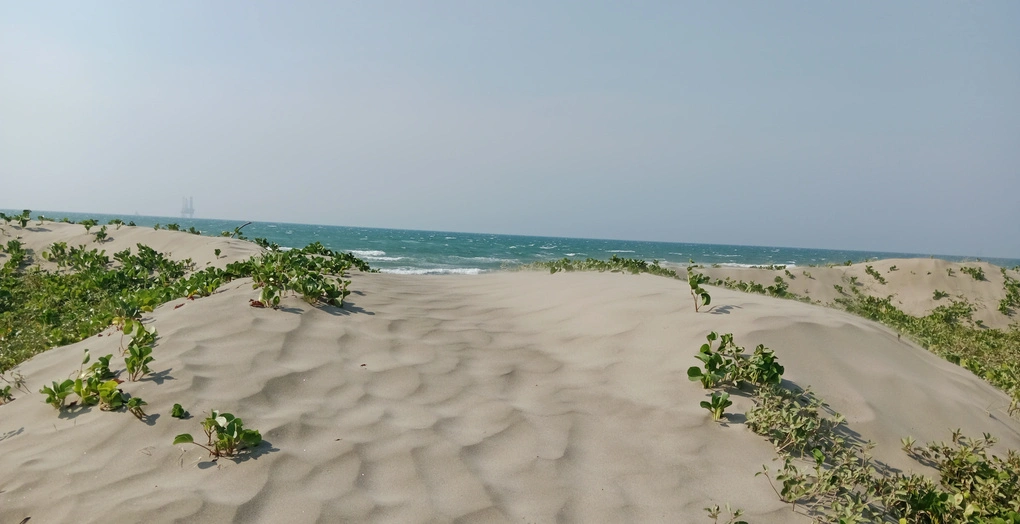 zona marino-costera de Campeche