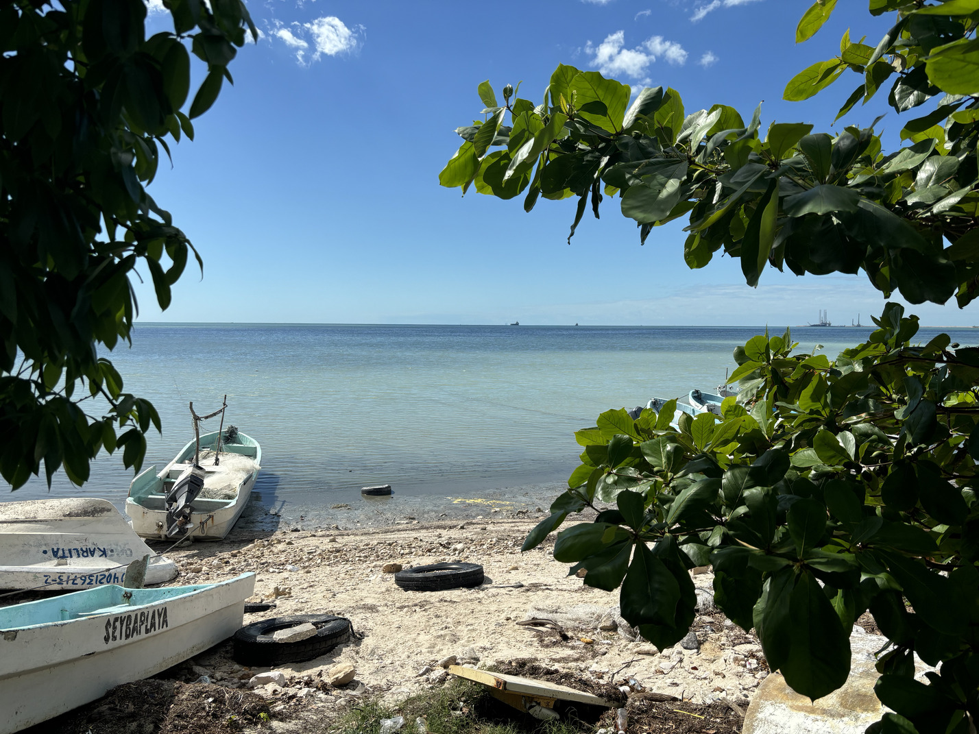zona marino-costera de Campeche Imagen 2