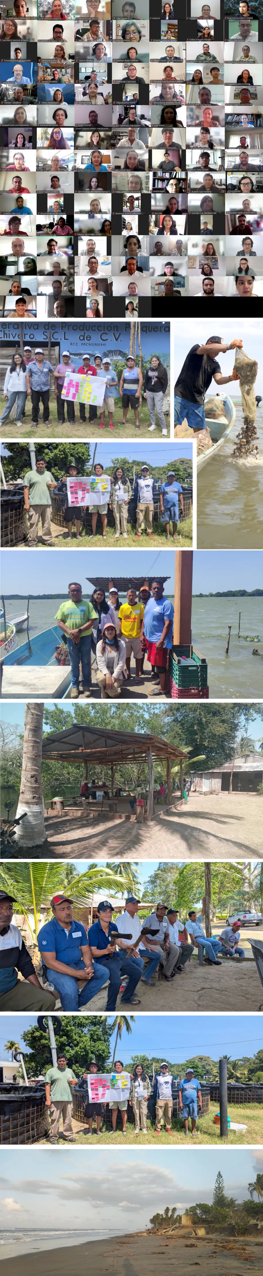 Participantes - Tabasco