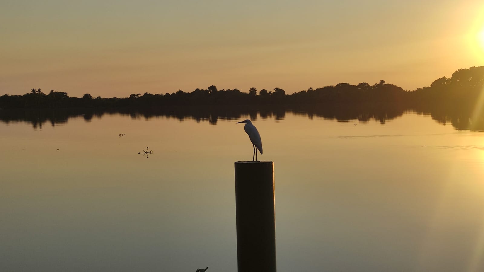 zona marino-costera de Tabasco
