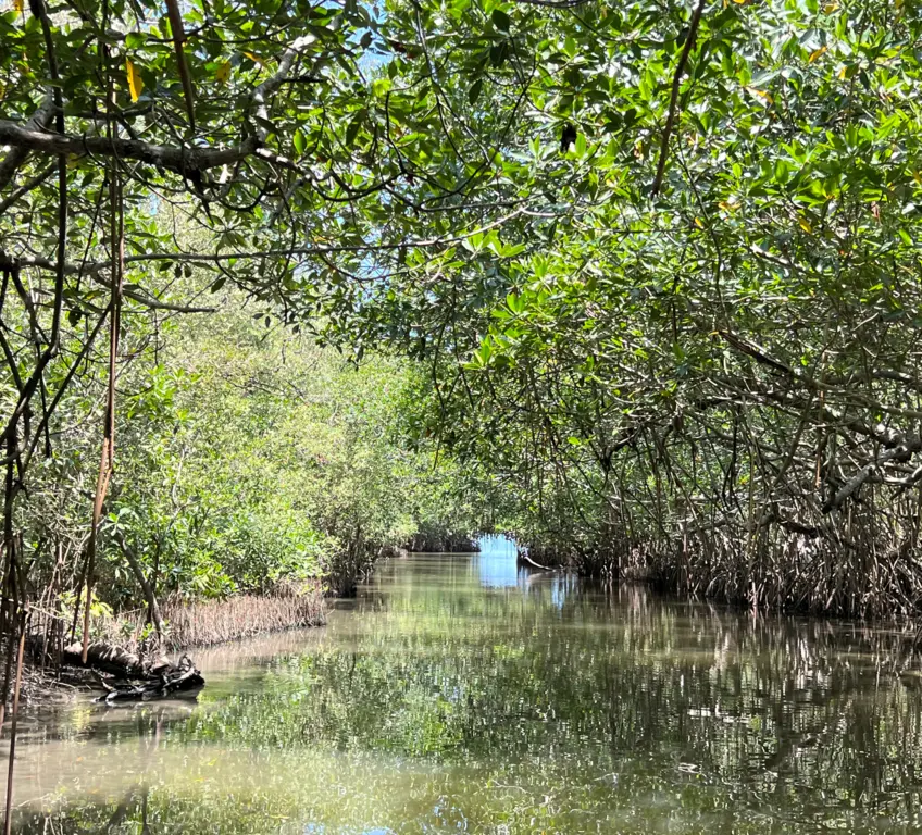 zona marino-costera de Tabasco Imagen 2