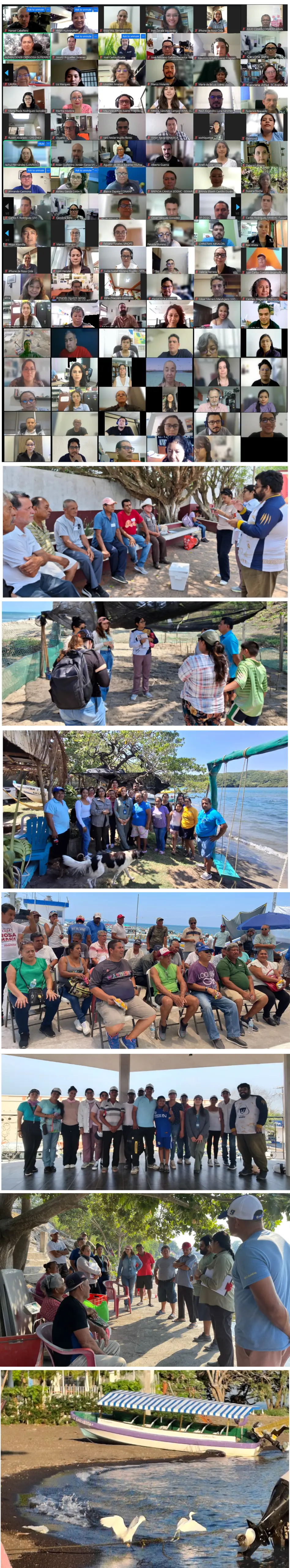 Participantes - Veracruz