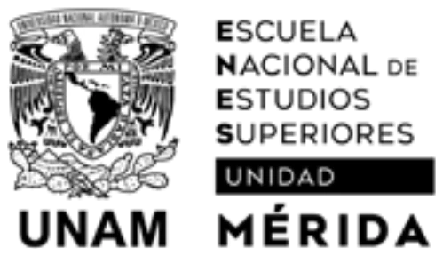 Escuela Nacional de Estudios Superiores Unidad Mérida, UNAM