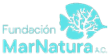 Fundación MarNatura, A.C.