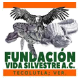 Fundación Vida Silvestre, A.C. (Tecolutla)