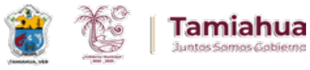 H. Ayuntamiento de Tamiahua