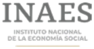 Instituto Nacional de la Economía Social (INAES)