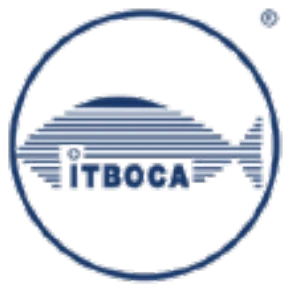 Instituto Tecnológico de Boca del Río (ITBOCA)
