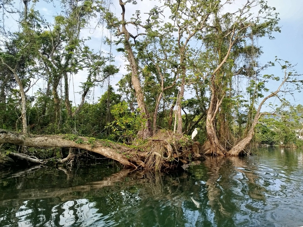 zona marino-costera de Veracruz Imagen 2