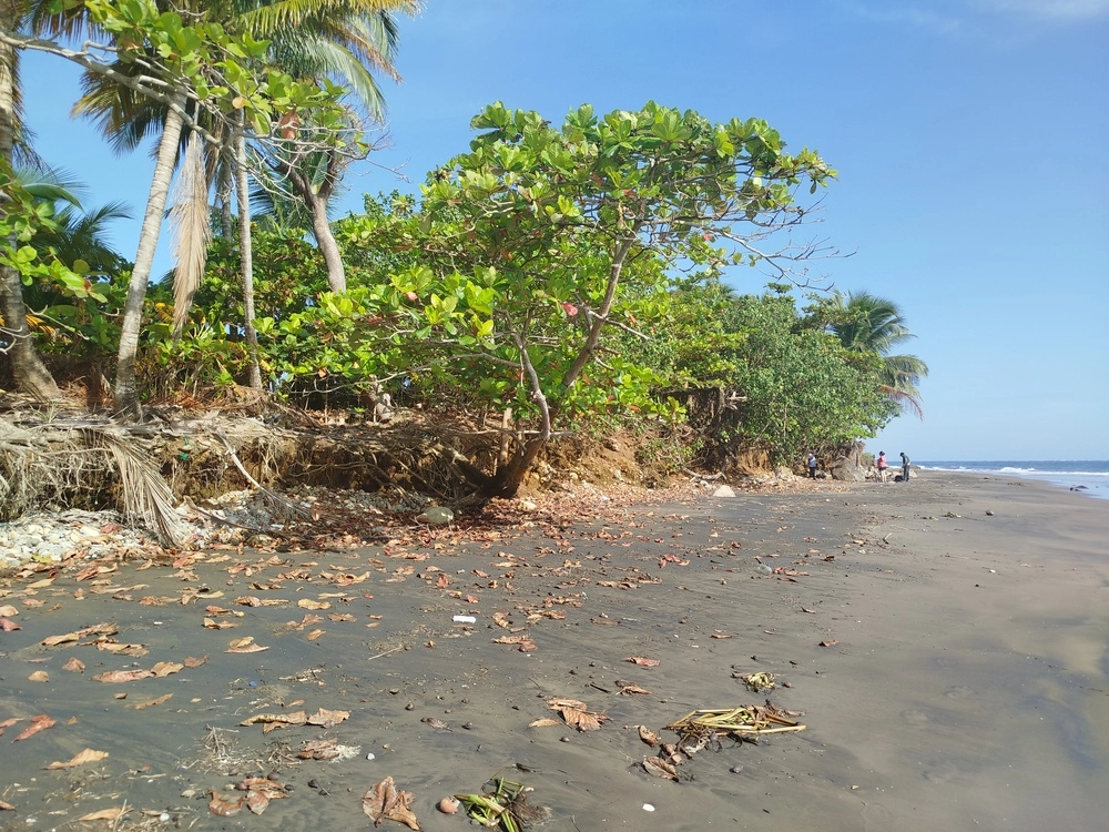 zona marino-costera de Veracruz Imagen 2