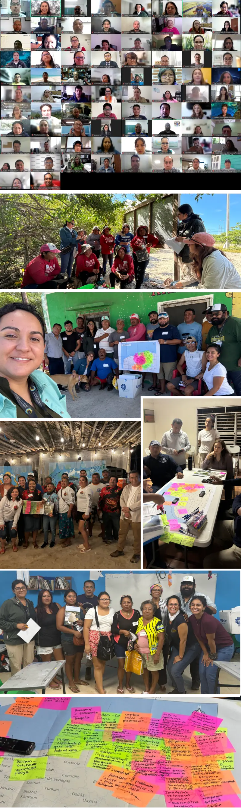 Participantes - Yucatán