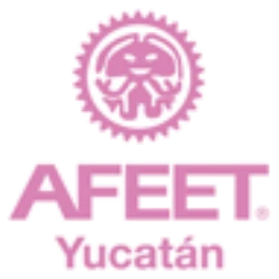 Asociación Femenil de Ejecutivas de Empresas Turísticas, Yucatán (AFEET)