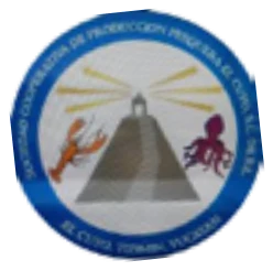 Sociedad Cooperativa de Producción Pesquera El Cuyo (Tizimín)