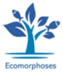 Ecomorphoses