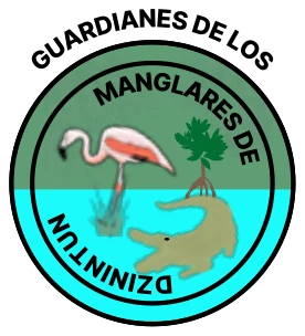 Guardianes de los Manglares de Dzinitún