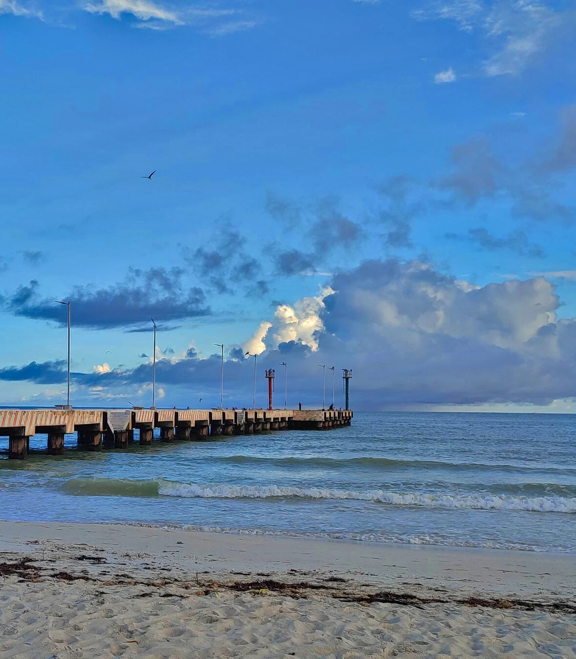 zona marino-costera de Yucatán Imagen 2